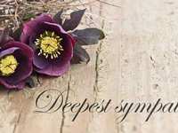 Alfred L. Ducharm (September 7, 1936 - February 10, 2023)
