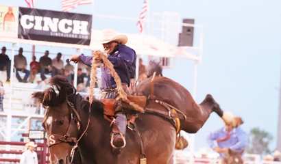 /images/newsimage/5594/410x240/sb_champ_roper_kiesner_kbr_by_terri_abrahamsen.jpg.jpg
